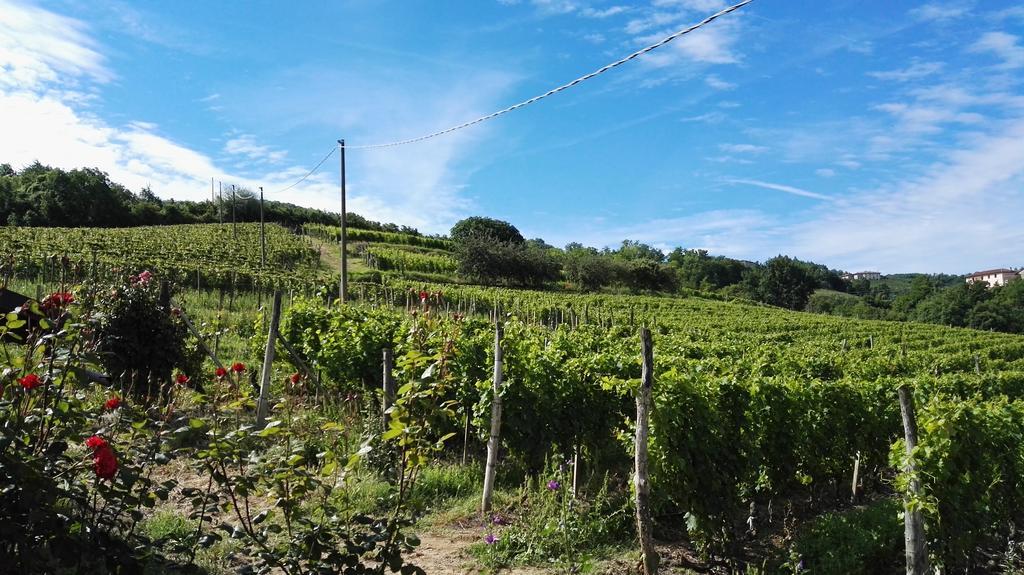 Agriturismo Tenuta San Giuseppe Cossano Belbo 外观 照片